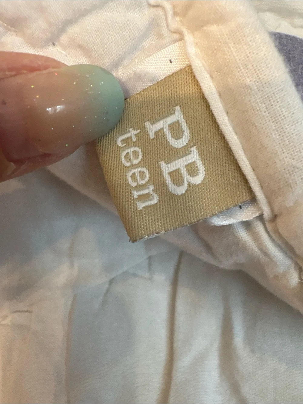 Pottery Barn Teen Pastel Chevron Comforter and Sham - Multicolor Stripes